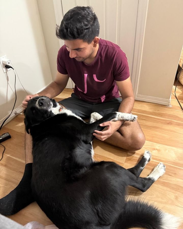 Black and white dog getting belly rubs from a Bark Buddy sitter